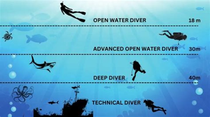 A Deeper Dive Into Their Family Bond