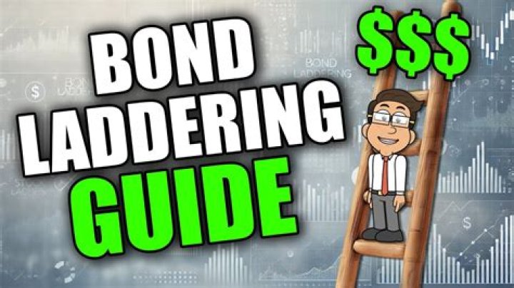 A Guide To Building A Lasting Bond