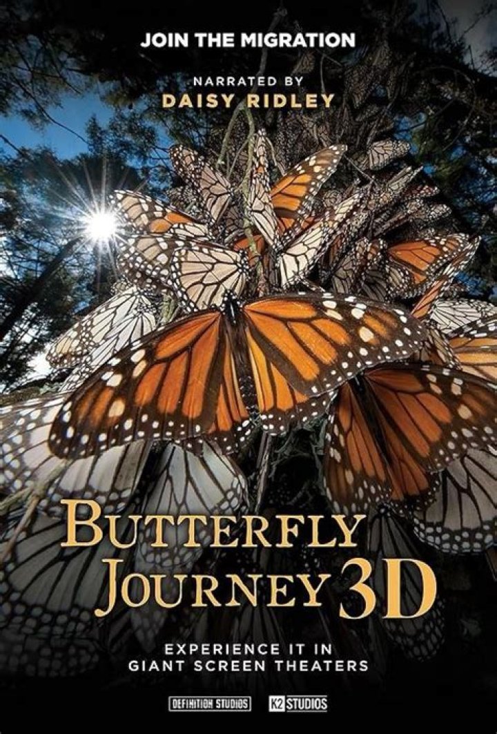 A Musical Journey Of Discovery And Inspiration