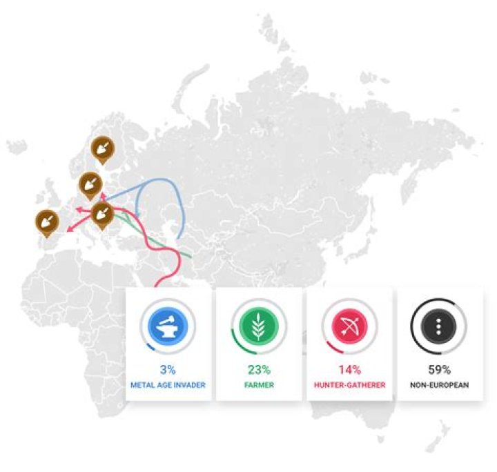 Ancestry, Culture, And Stephen's Role