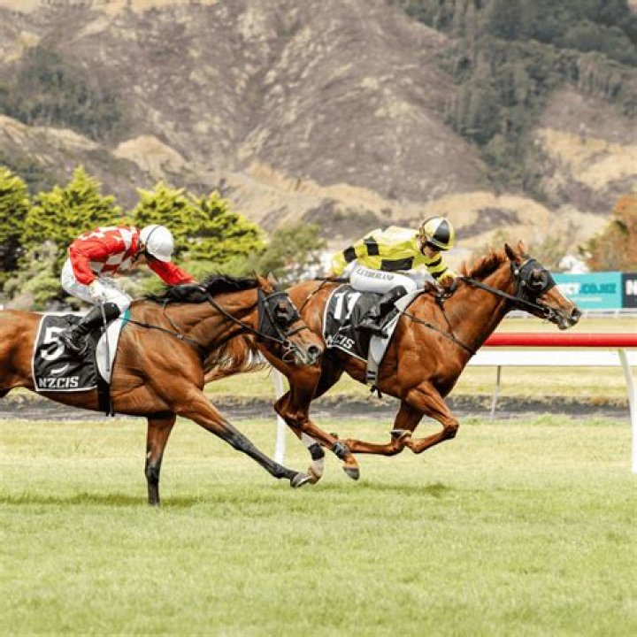 Bio, Wiki, And Racing Legacy