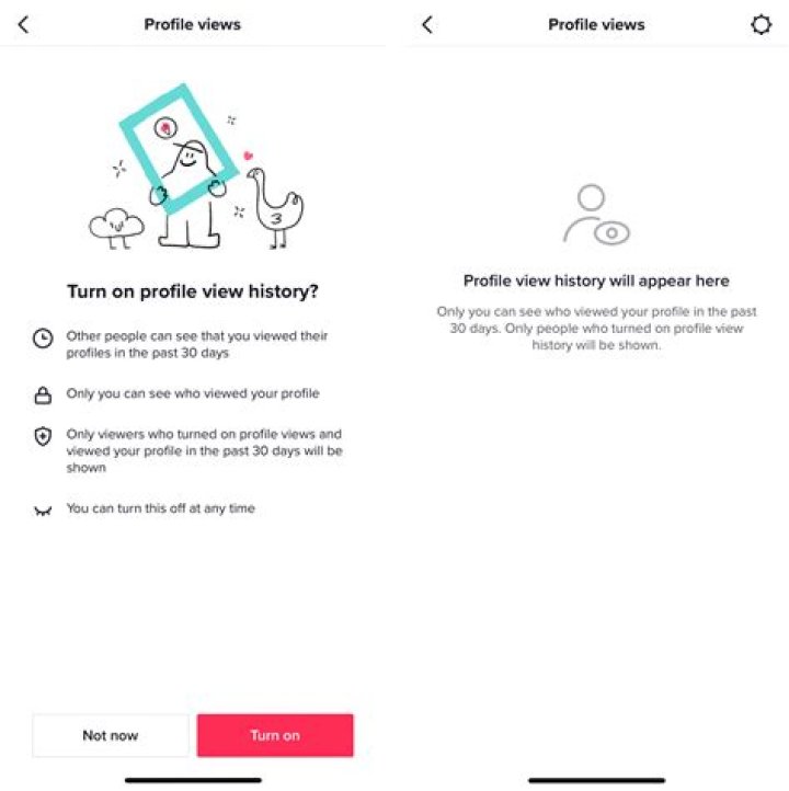Blocking And Viewing Profiles On TikTok