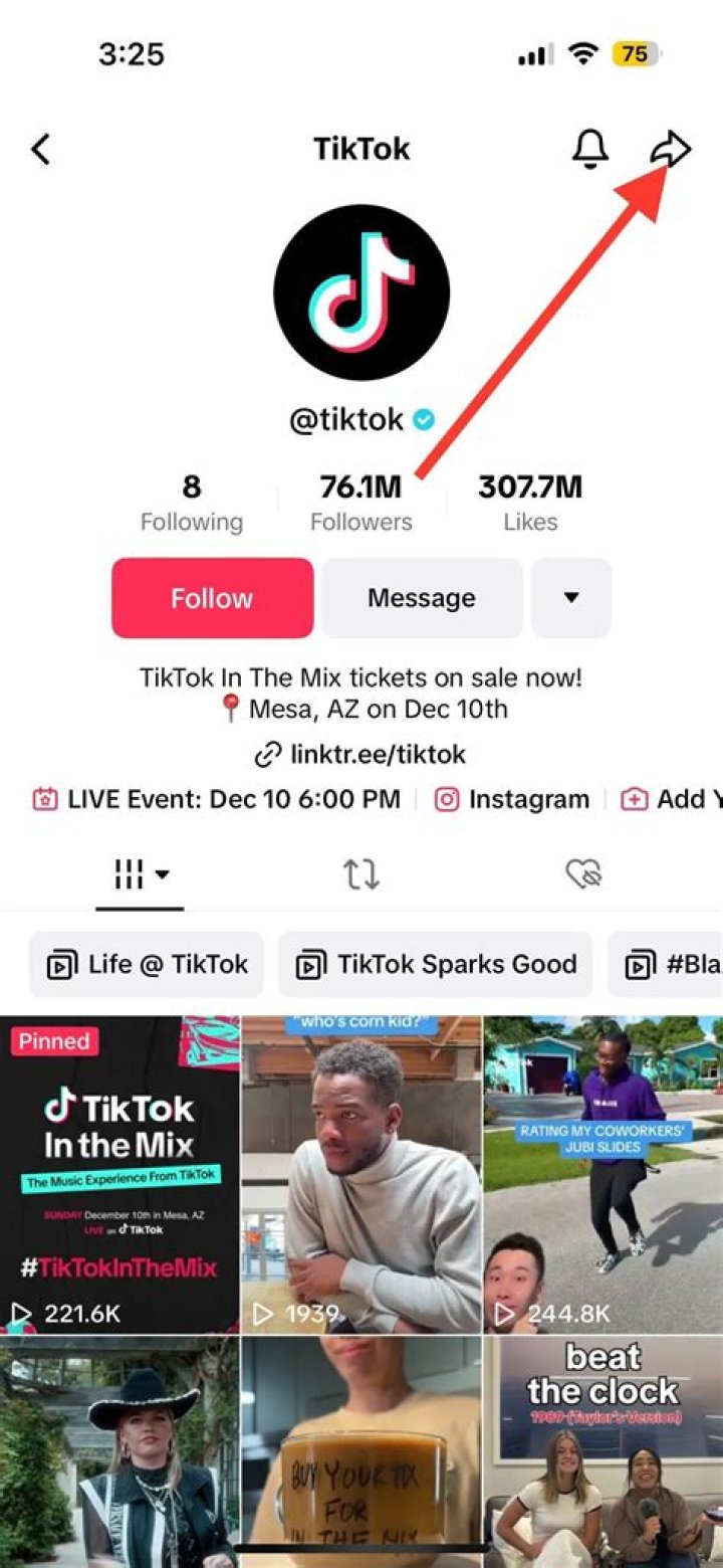Blocking On TikTok And Story Visibility