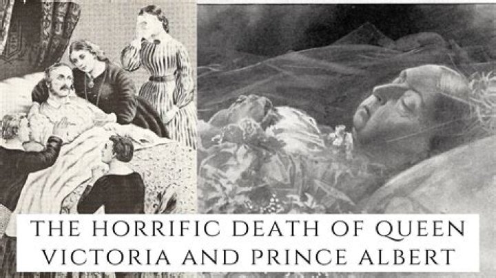 Boybits Victoria Cause of Death, Obituary, Height, Wikipedia ·