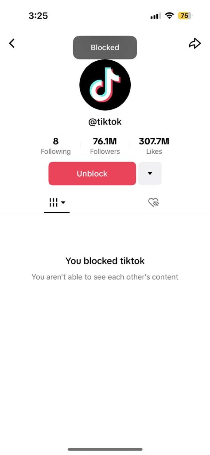 Can Blocked Users See Your TikTok Comments?