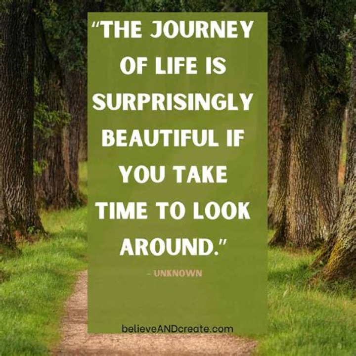 Demetria McKinney's Son's Journey And Success