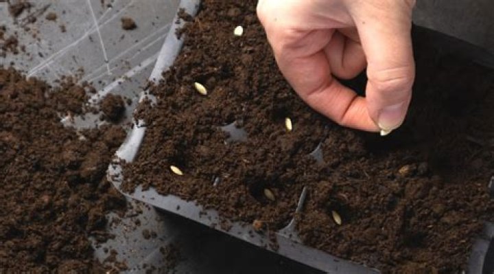 Digging Deep Into The Soccer Star's Fortune