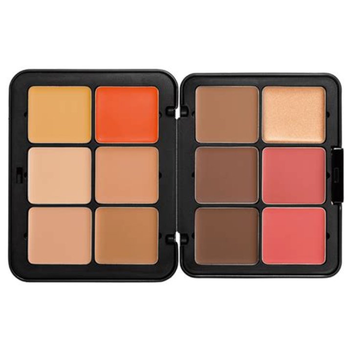 Discover The Allure Of All-in-One Cream Makeup Palettes On TikTok