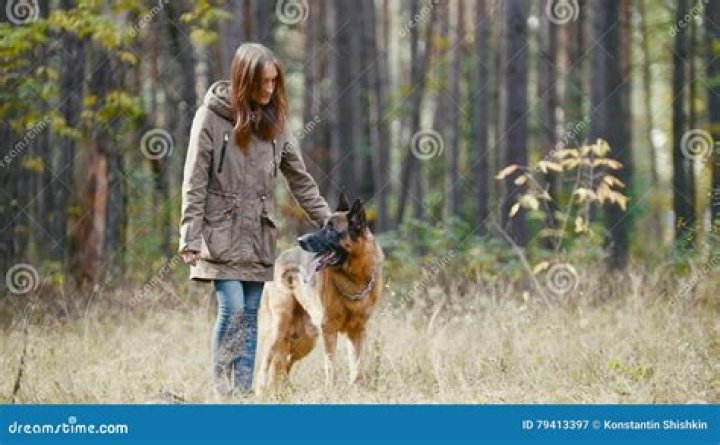 Discoveries And Insights From "Mzansi Woman's Dog Gets Stuck"