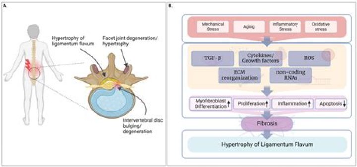 Dive Into Brianne Howey's Weight Journey: Uncovering Insights And Transformations