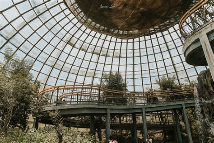 Don Drumm's Life And Impact Revealed