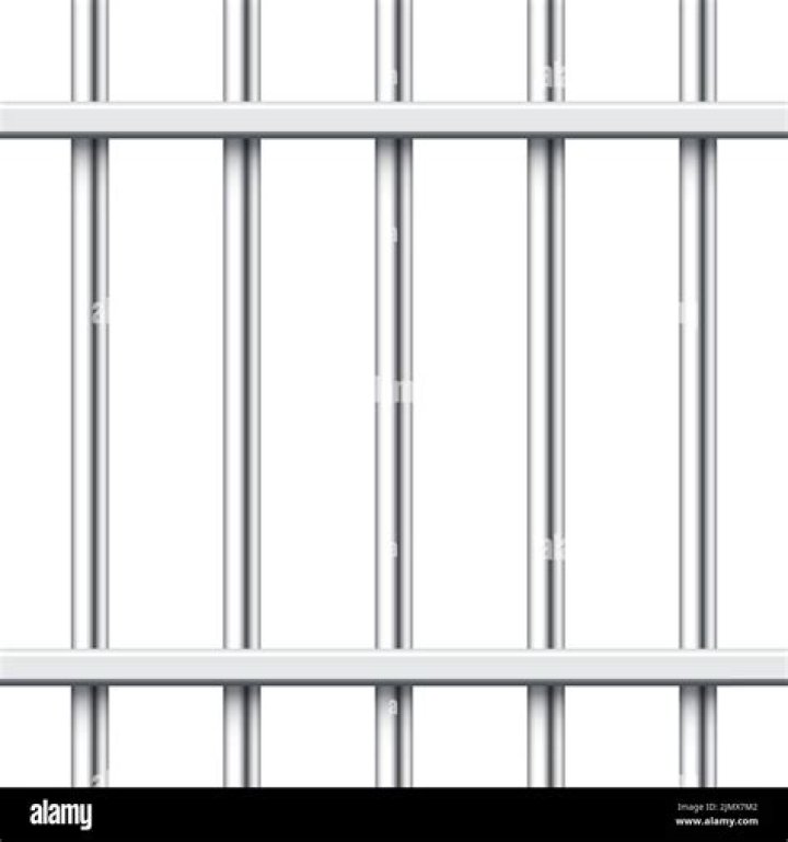 Essential Guide To Understanding Prison Bars