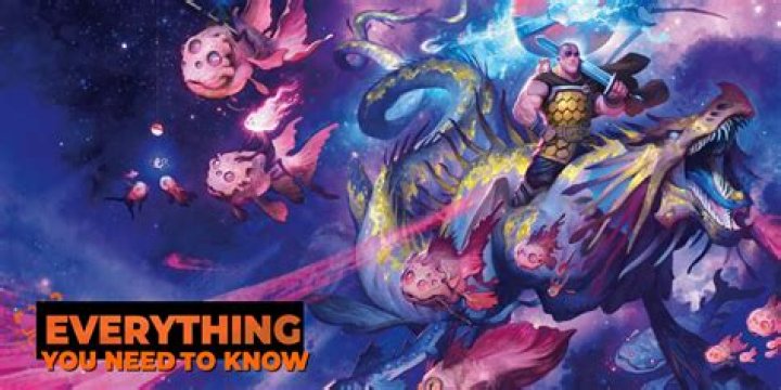 Everything You Need To Know For The Curious