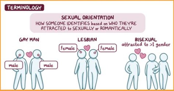 Exploring Conan Gray's Sexual Orientation