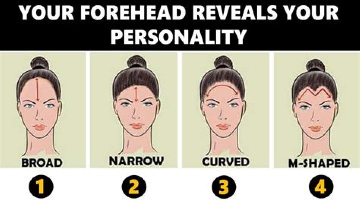 The Biggest Forehead You've Ever Seen: A Comprehensive Guide