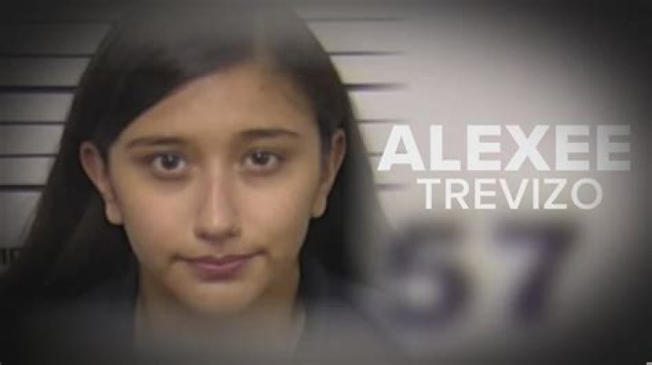 Unveiling The Alexee Trevizo Baby Autopsy: Startling Revelations