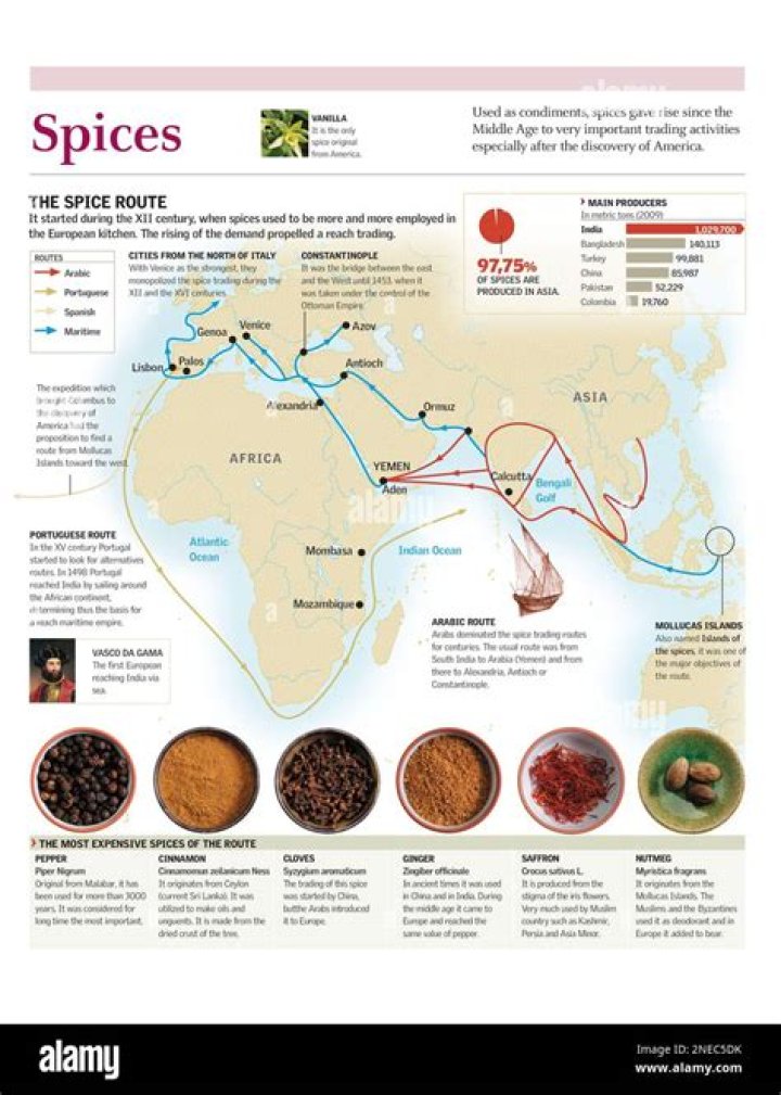 Unveiling The Enchanting World Of Spices: Discoveries And Insights Await