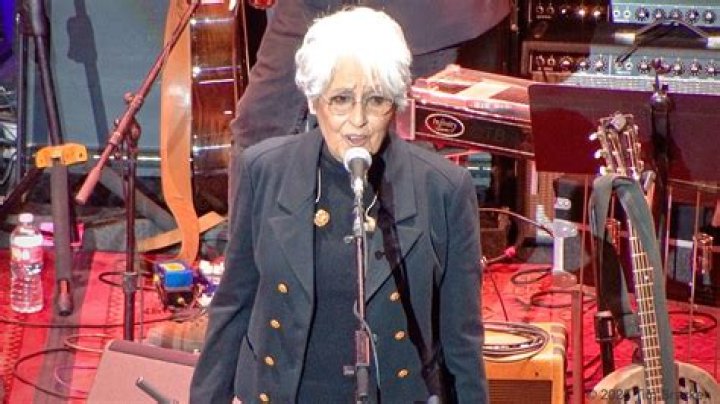 Unveiling The Identity And Legacy Of Joan Baez's Son