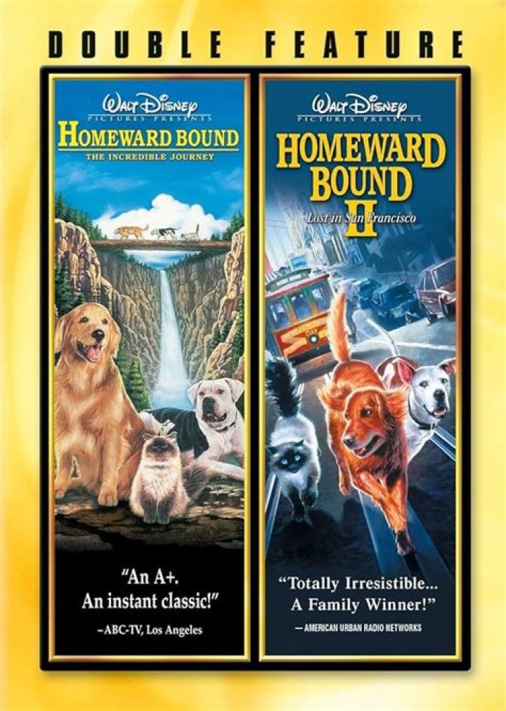 Unveiling The Incredible Journey Of Tracy Morgan's Brother