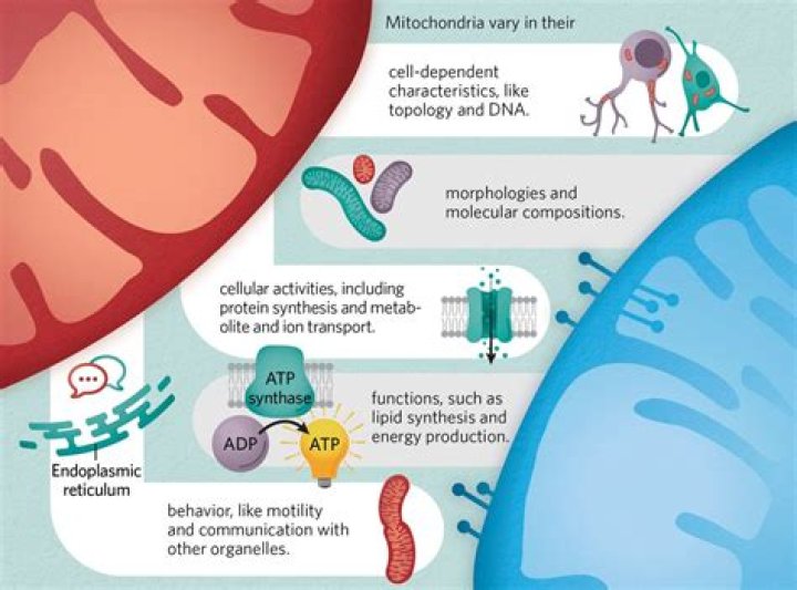 Unveiling The Multifaceted Legacy Of Maria-Cecilia Simone Kelly