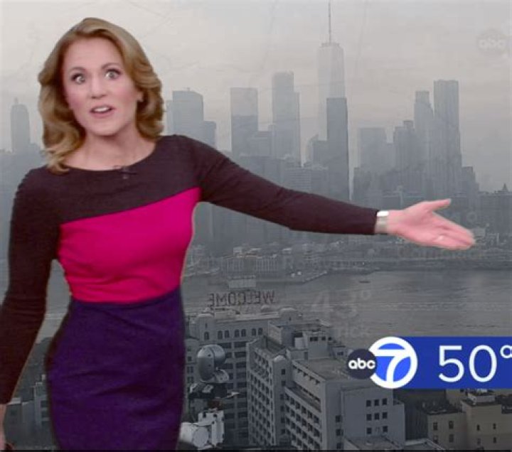 Unveiling The Reasons Behind Raegan Medgie's Departure From Fox 5