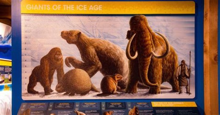 Unveiling The Secrets Of Ice Age Giants: Discoveries And Insights