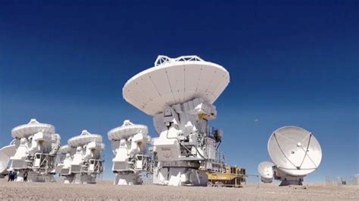 Unveiling The Secrets Of Shaq's Daughter's Towering Height