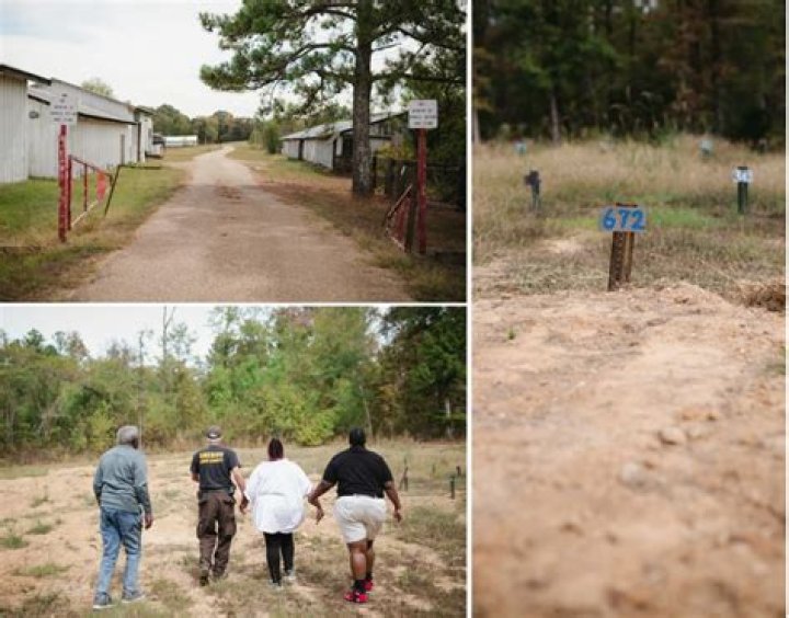Unveiling The Truth: Saltburn Murders