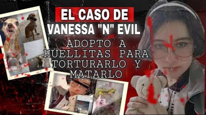 "vanessa Y Huellitas Fotos Reales"