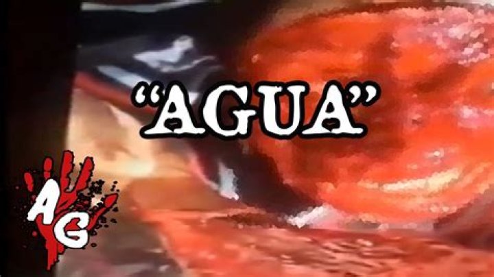 Watch 'quiero Agua' Video Gore