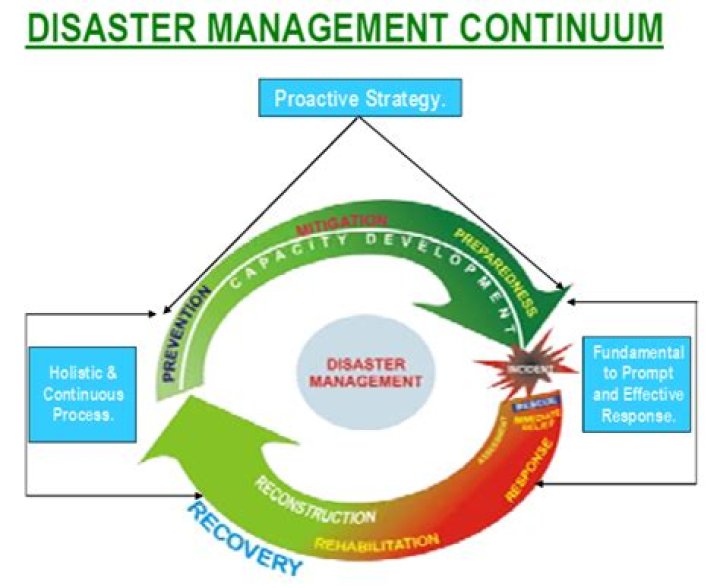 What are the 4 types of disaster management?